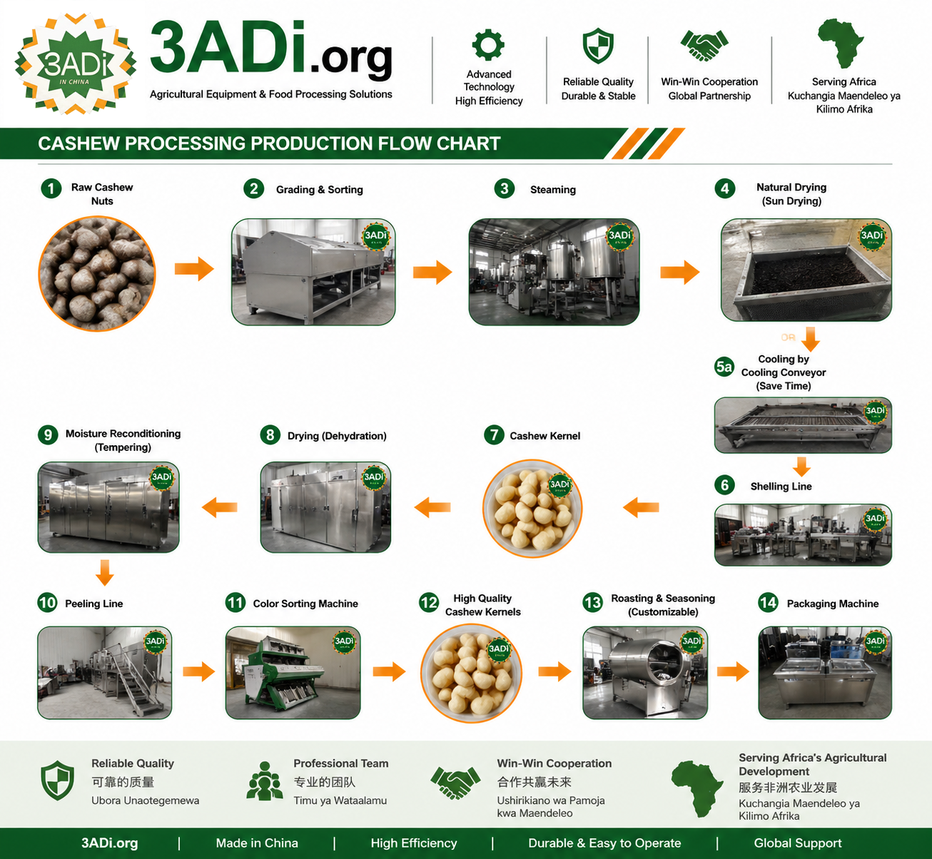 Cashew Processing Equipment Workflow Diagram