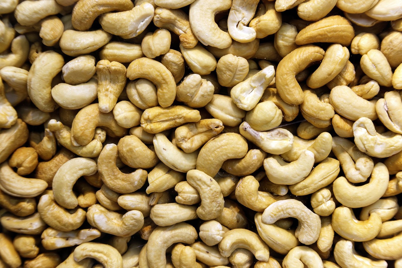 The cashew nut is the fruit of the cashew tree