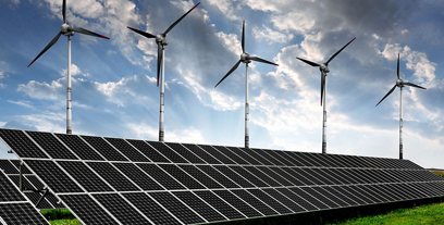 Cashew Shelling Machine — 500 kg/h