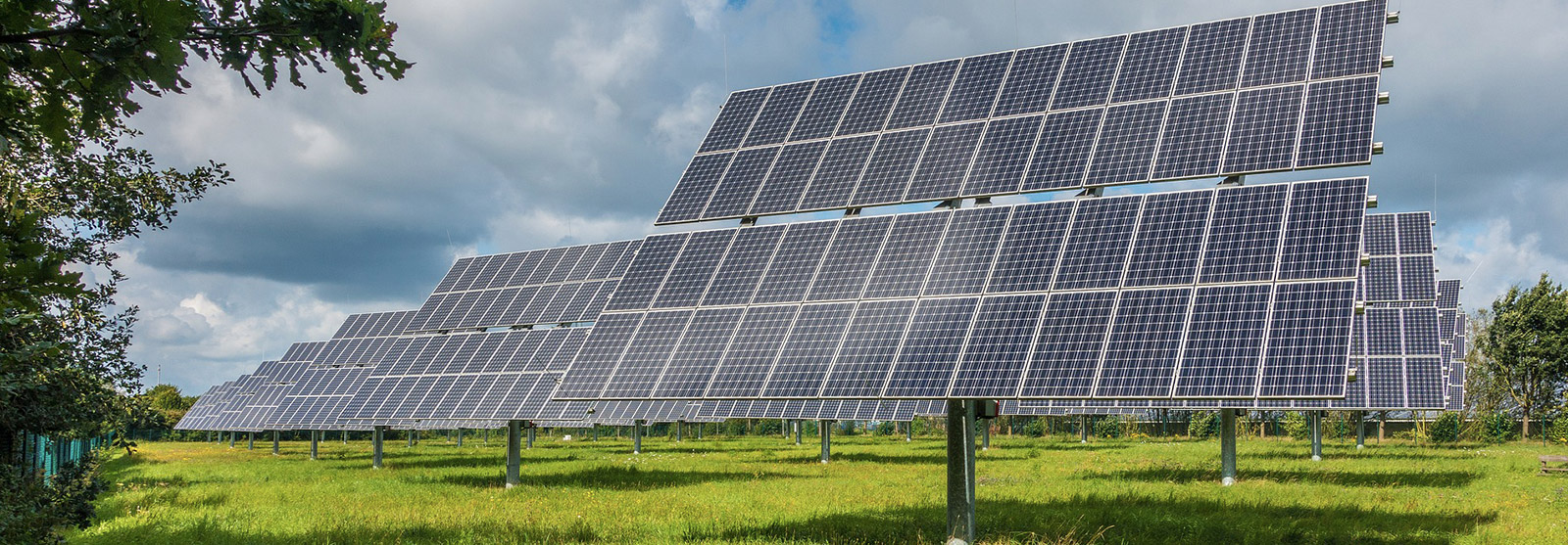 CASHEW PROCESSING MACHINES FOR AFRICA