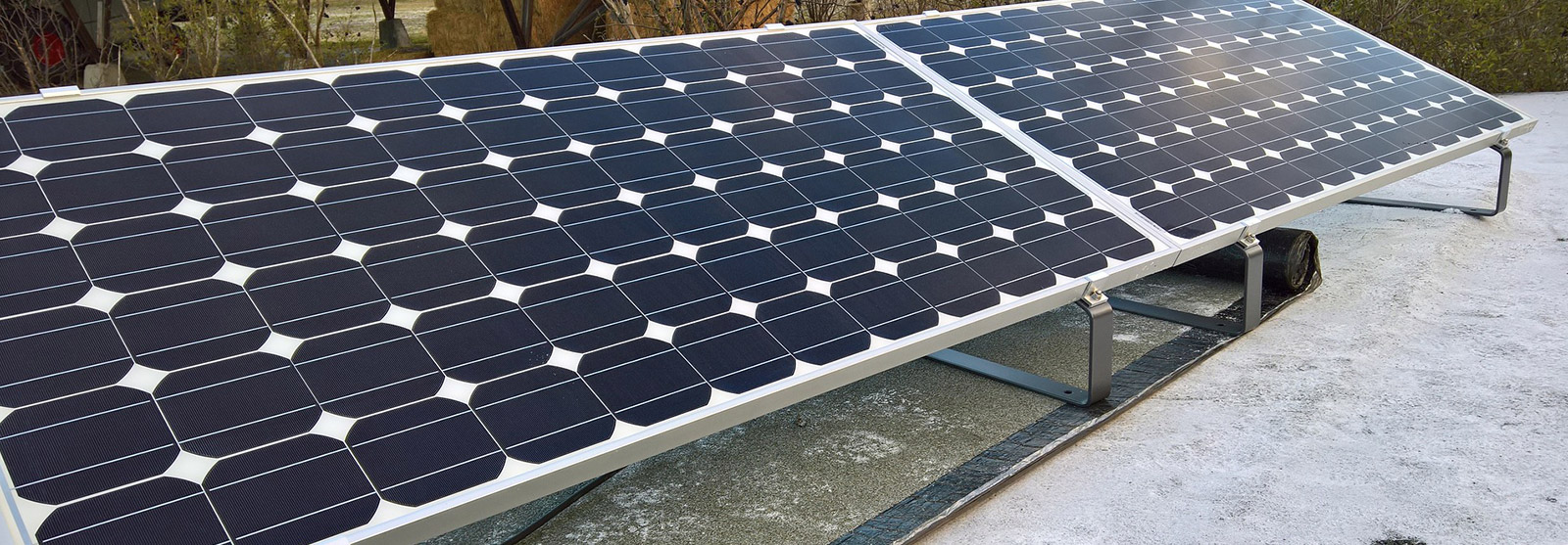 TRUSTED BY PROCESSORS ACROSS AFRICA