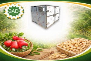 Cashew Kernel Humidifier Machine for Peeling Process Improvement