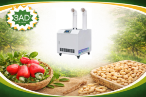 Cashew Kernel Humidifier Machine for Improved Peeling Efficiency and Low Breakage