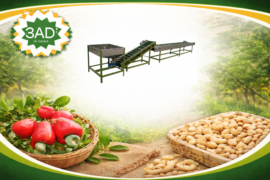 Cashew Kernel Sorting Machine for Manual and Automatic Quality Selection