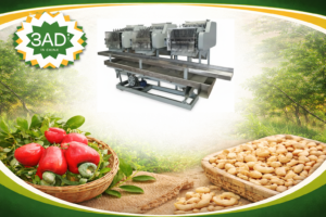 Cashew Nut Shelling Processing Line for Complete Processing Plant Setup