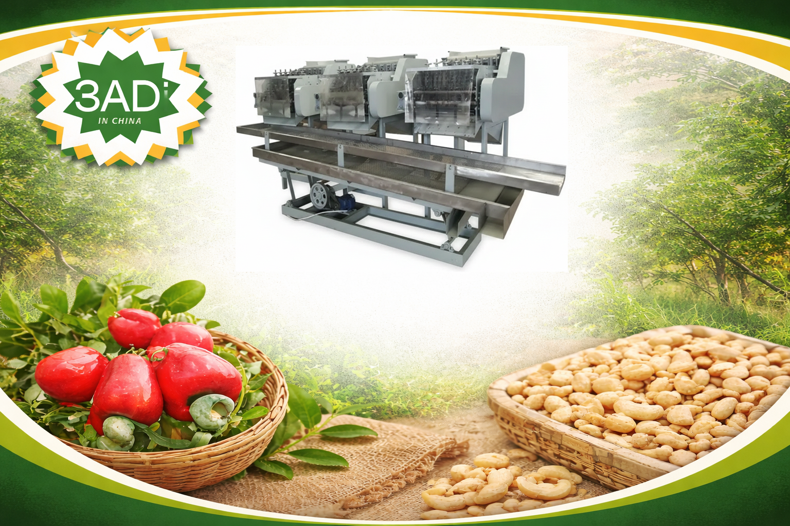 Cashew Nut Shelling Processing Line for Complete Processing Plant Setup