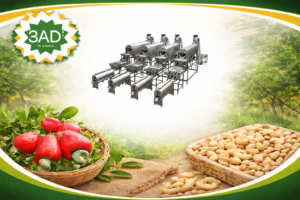 Cashew Peeling Processing Line for Automated Kernel Skin Removal System