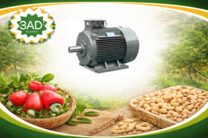 High-Efficiency Three-Phase Motors for Cashew Processing Lines