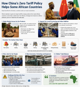 How China’s Tariff-Free Policy Benefits African Countries
