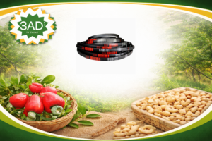 Heavy-Duty Drive Belts for Cashew Centrifugal Separators and Conveyors