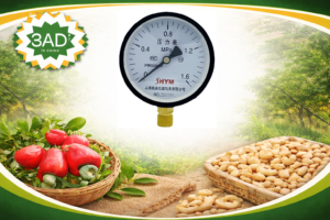 Heavy-Duty Y-100 Industrial Pressure Gauge for Steam and Air Systems