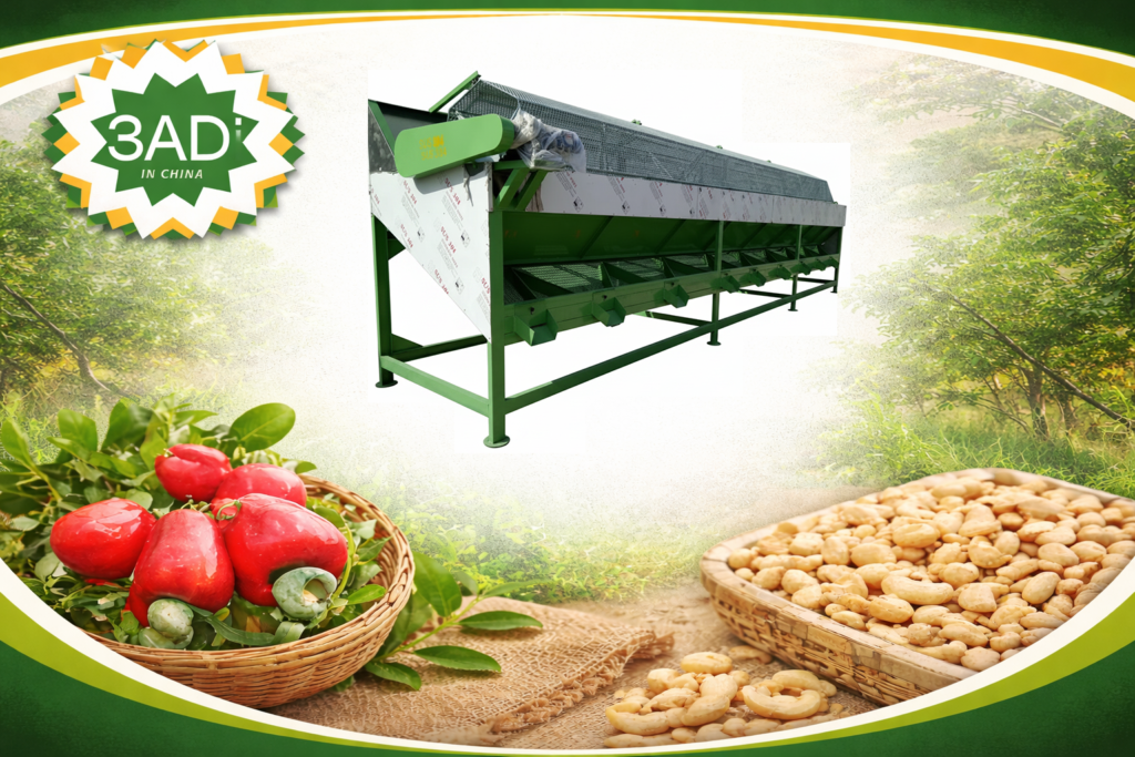 Raw Cashew Nut Grading Machine for Size Classification Before Processing