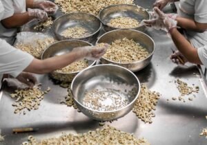 Cashew Processing in Africa: Market Trends, Investment Opportunities, and Practical Solutions