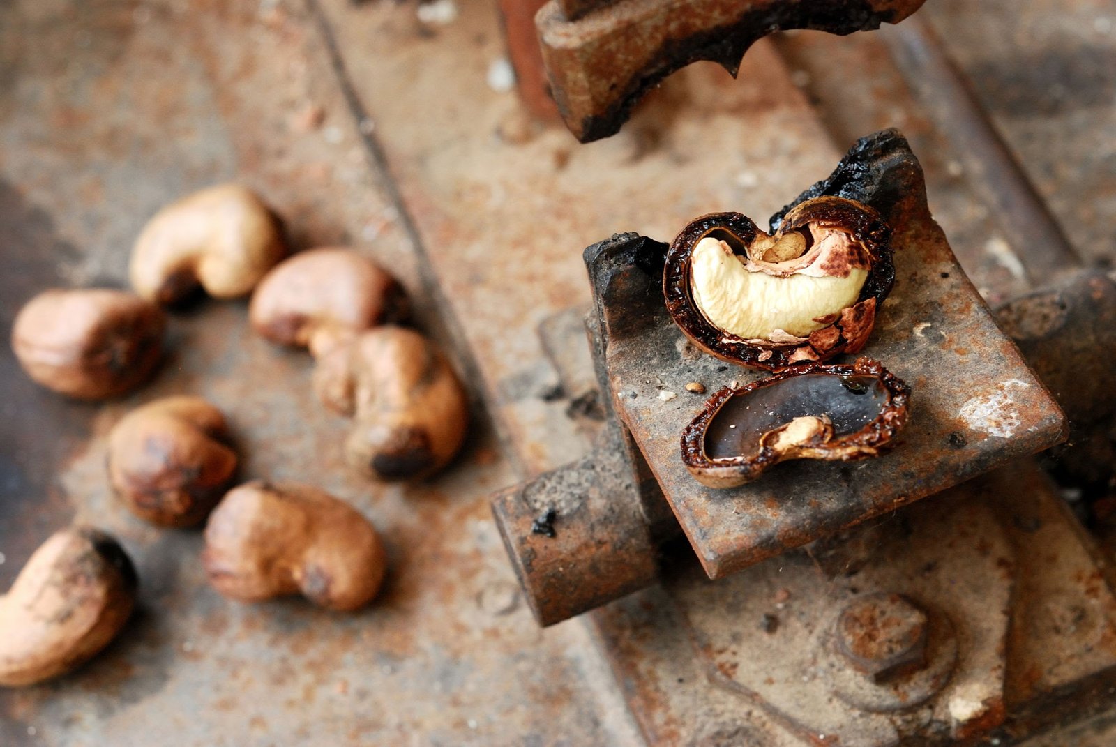 Why Most Cashew-Producing Countries Still Export Raw Nuts: A Closer Look at Processing Challenges in Africa